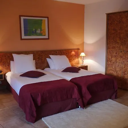 Sud Alsace Hotel 3*